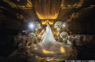 厦门心递婚礼策划 一站式服务